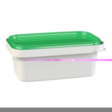 16oz clear TE rectangle container(540) CODE# COIPLRE16